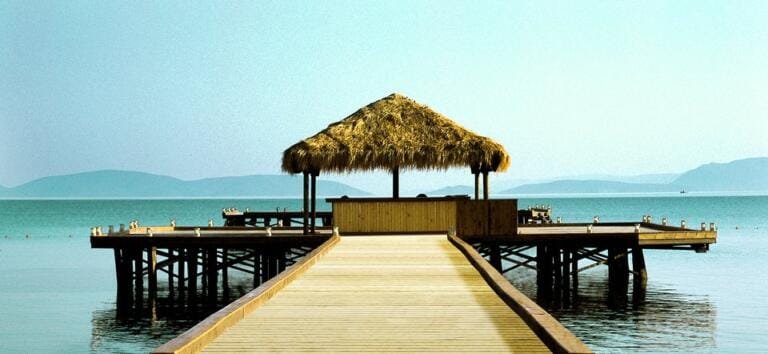 16314930 W5rkWpoTfgD15TofA2gJuaCv6g8gK40qxcDGTGm81QY