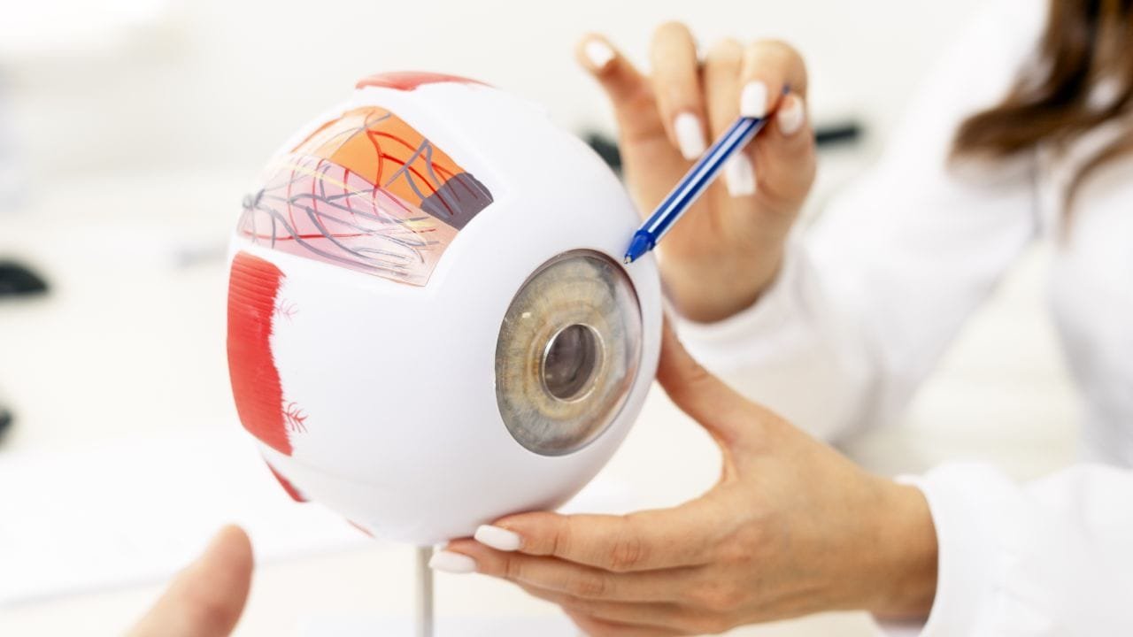 Göz Tedavileri 1 alfa heal goz