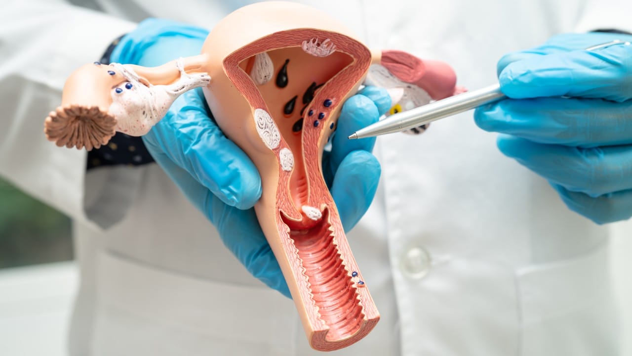 alfa heal tup bebek tedavisi thumb