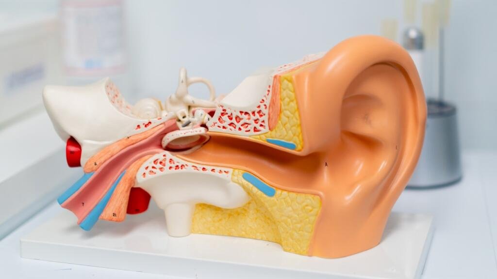 alfa heal ventilasyon thumb