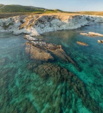 Untitled Design 440x586 (3)